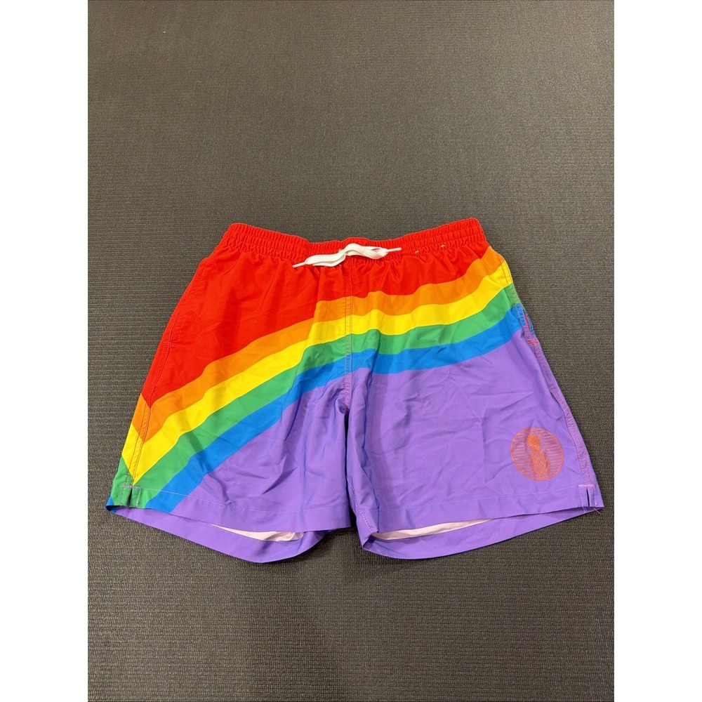 Chubbies Shorts Pride Rainbow Flag Swim Trunks 5.5" Stretch Lined Mens Large